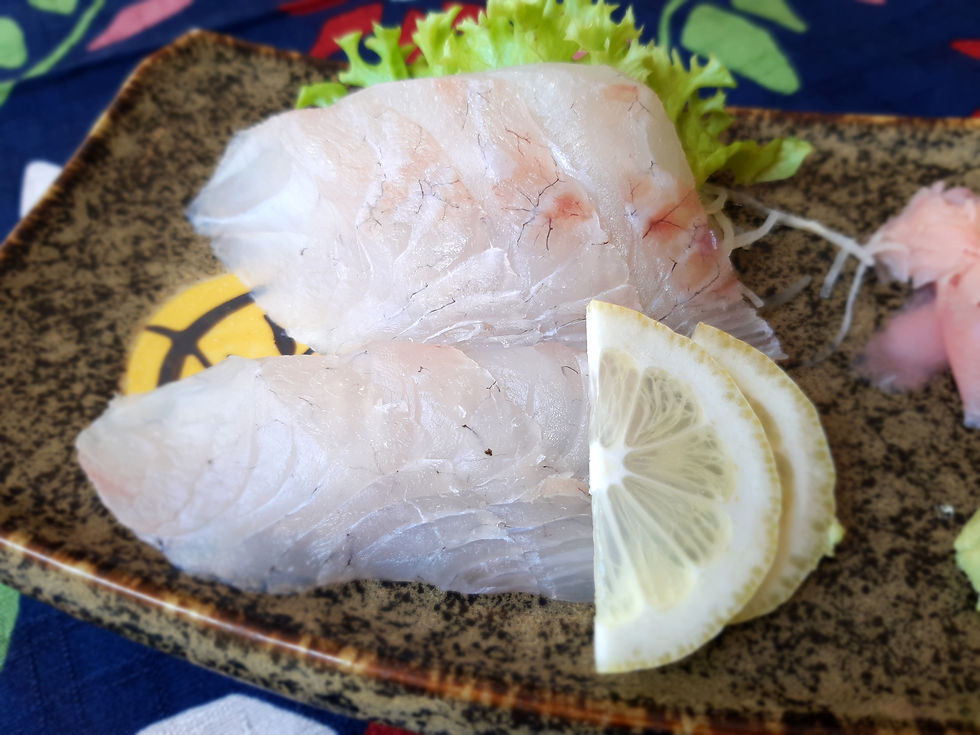 Snapper