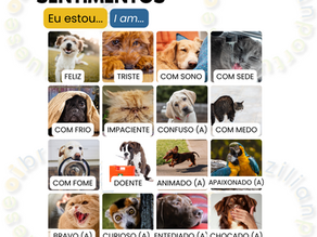 Feelings in Brazilian Portuguese
