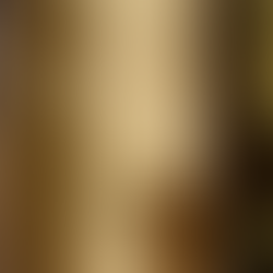 Winter Light in the Home: A Study in Rhythm & Wellbeing