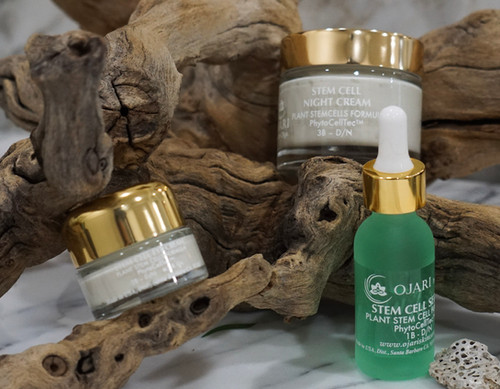 Stem Cell Serum (Plant) | ojariskincare