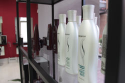 BALINESE sensciense salón oficial s