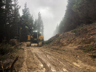 Forestry Roading