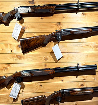 Abbey_Ling_Shooting_guns1.jpg