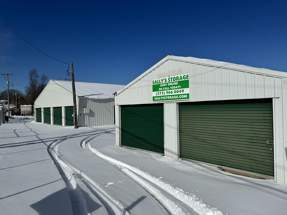 Sally's Storage in Mineral Point, Missouri