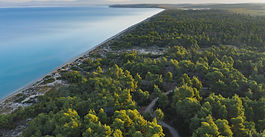 Sani Resort is home to the Sani Environmental Observatory, a collaboration between Sani/Ikos Group and the Forest Research Institute of ELGO "DIMITRA" aiming at protecting and promoting the unique coastal pine forest of Sani.