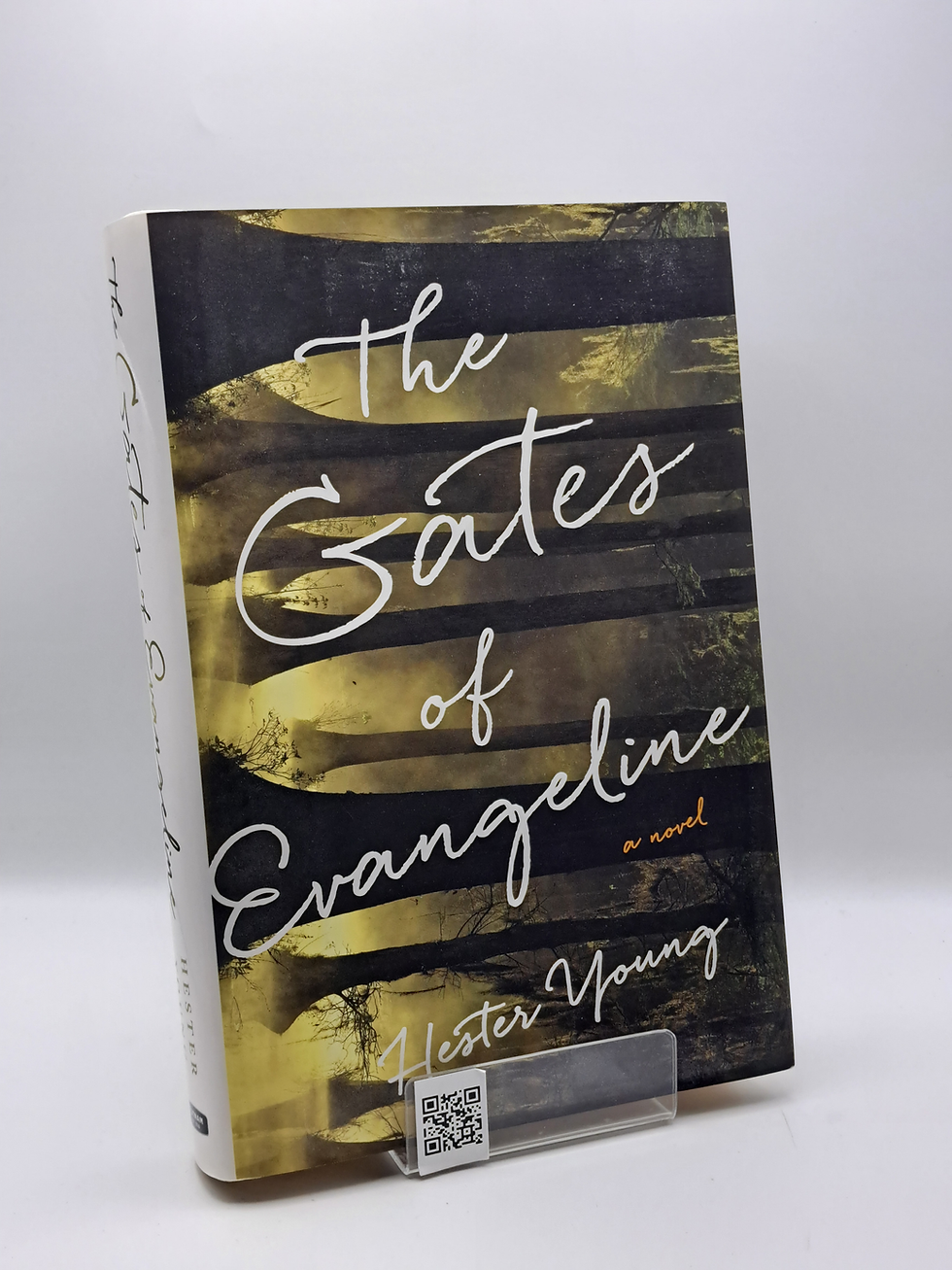 The Gates of Evangeline by Hester Young Southern Gothic mystery