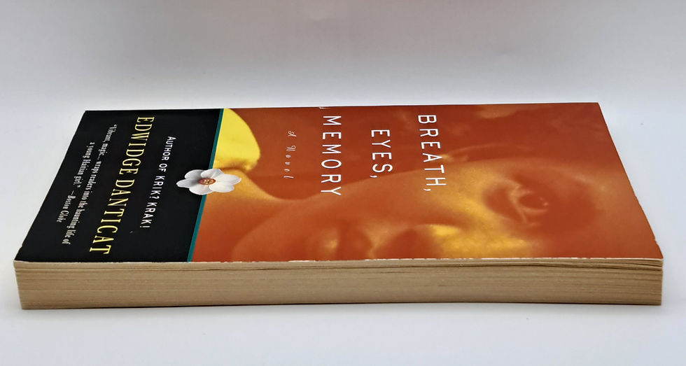 Thumbnail: Breath, Eyes, Memory by Edwidge Danticat