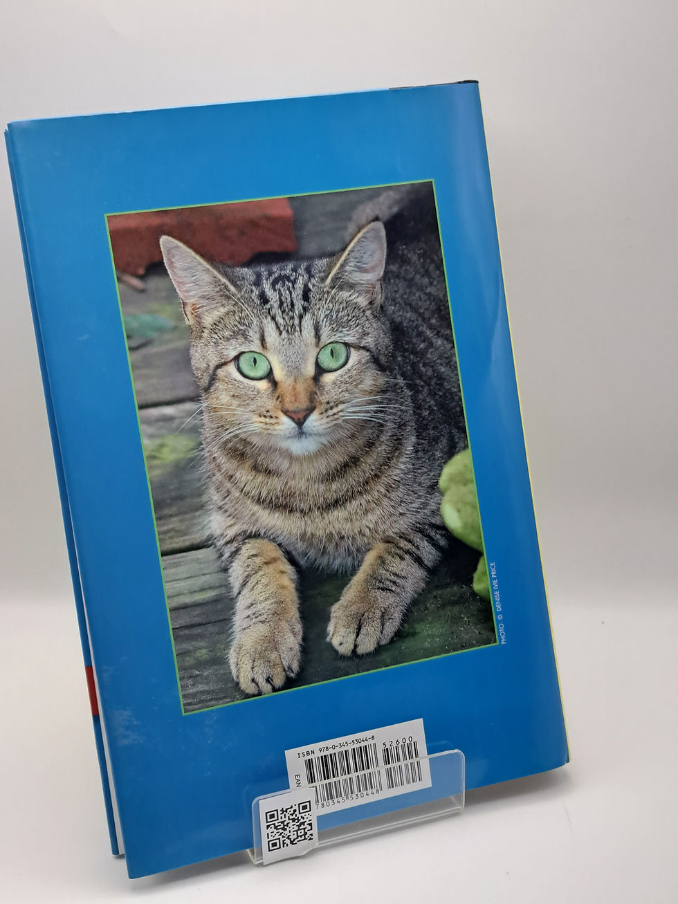 The Big Cat Nap by Rita Mae Brown