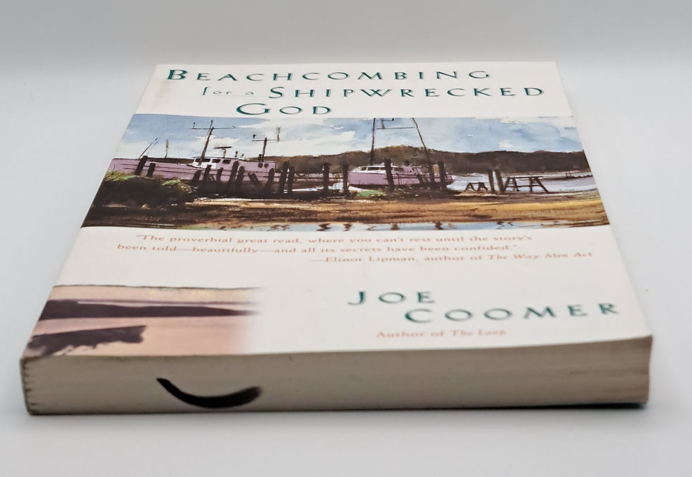 Thumbnail: Beachcombing for a Shipwrecked God by Joe Coomer Literary Fiction