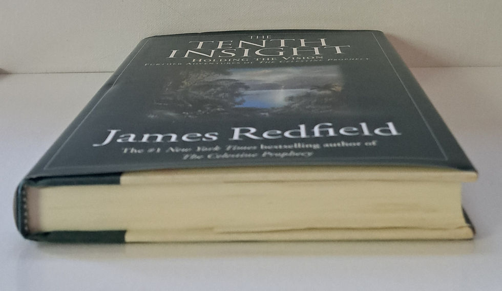Thumbnail: The Tenth Insight: Holding the Vision by James Redfield
