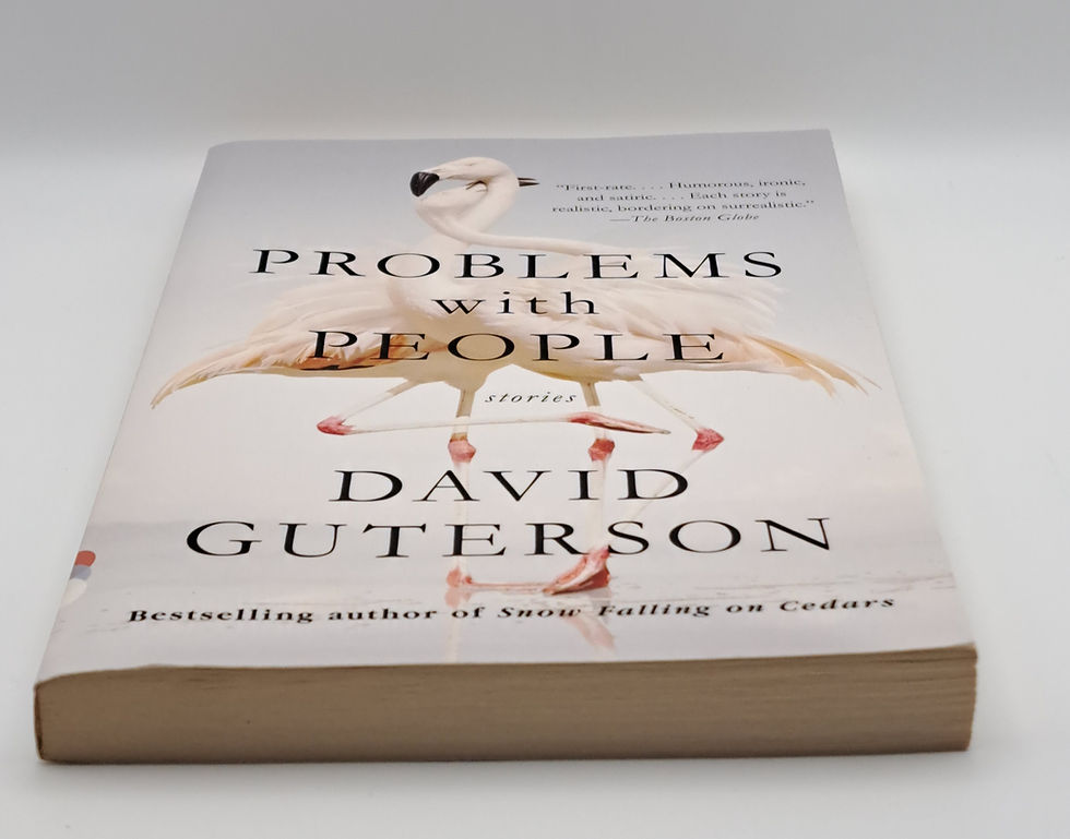 Thumbnail: Problems with People by David Guterson