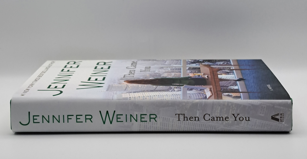 Thumbnail: Then Came You by Jennifer Weiner contemporary women’s fiction