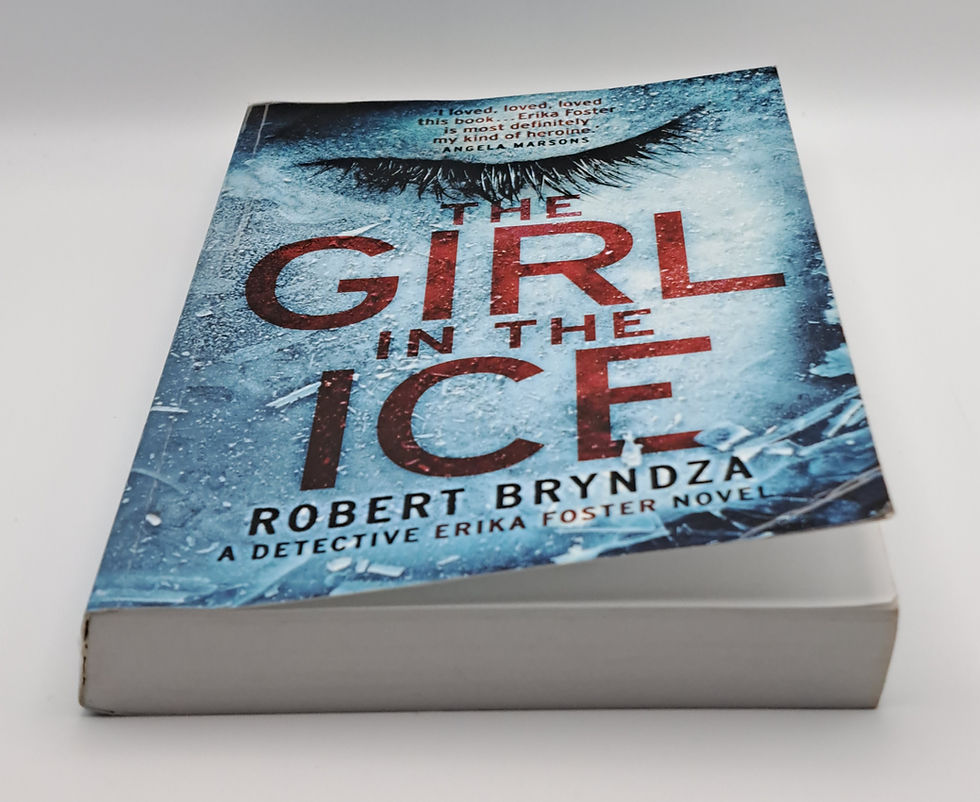 Thumbnail: The Girl in the Ice by Robert Bryndza