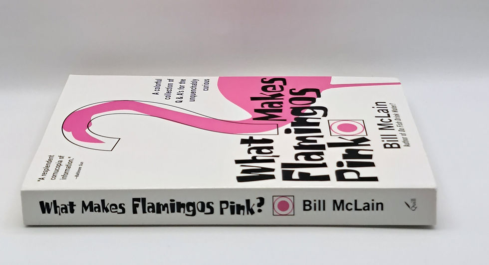 Thumbnail: What Makes Flamingos Pink by Bill McLain