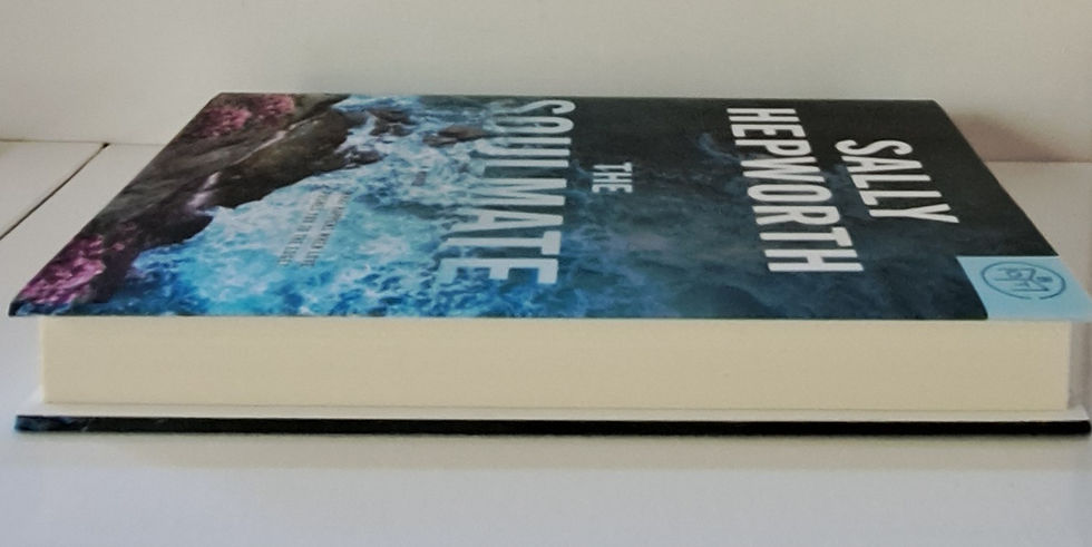 Thumbnail: A tense domestic thriller by Sally Hepworth