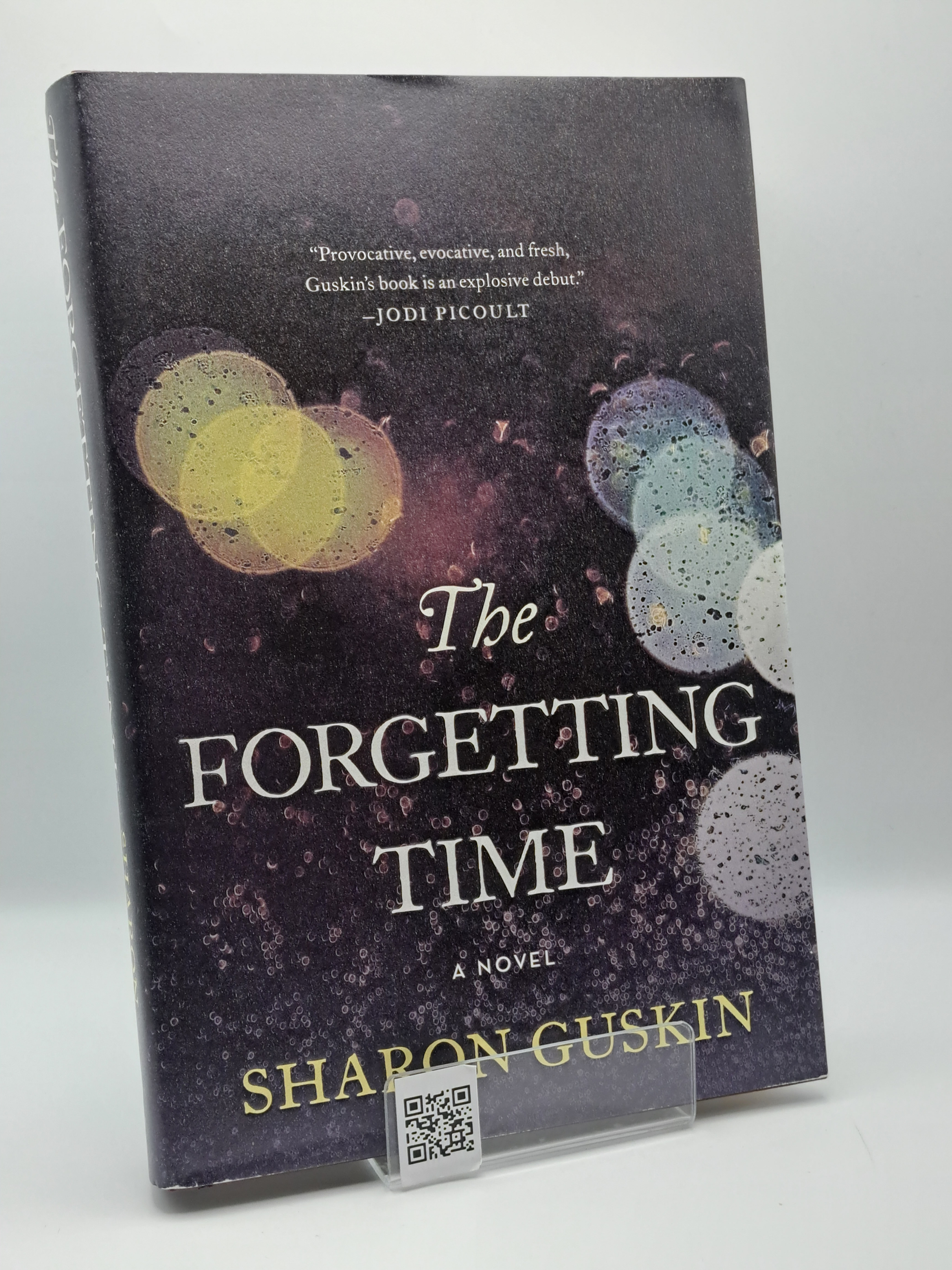 The Forgetting Time by Sharon Guskin literary fiction