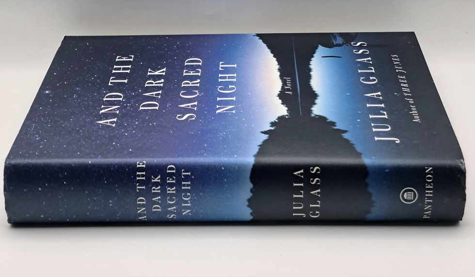 Thumbnail: And the Dark Sacred Night by Julia Glass literary fiction