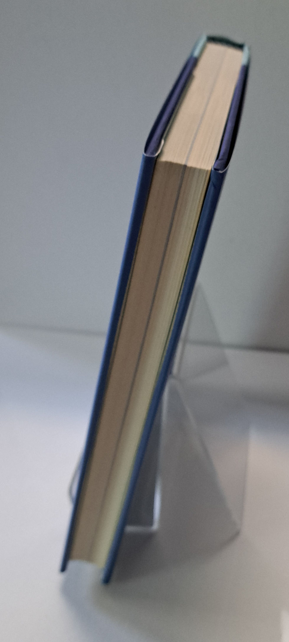 Thumbnail: Child of the Dream (A Memoir of 1963) by Sharon Robinson