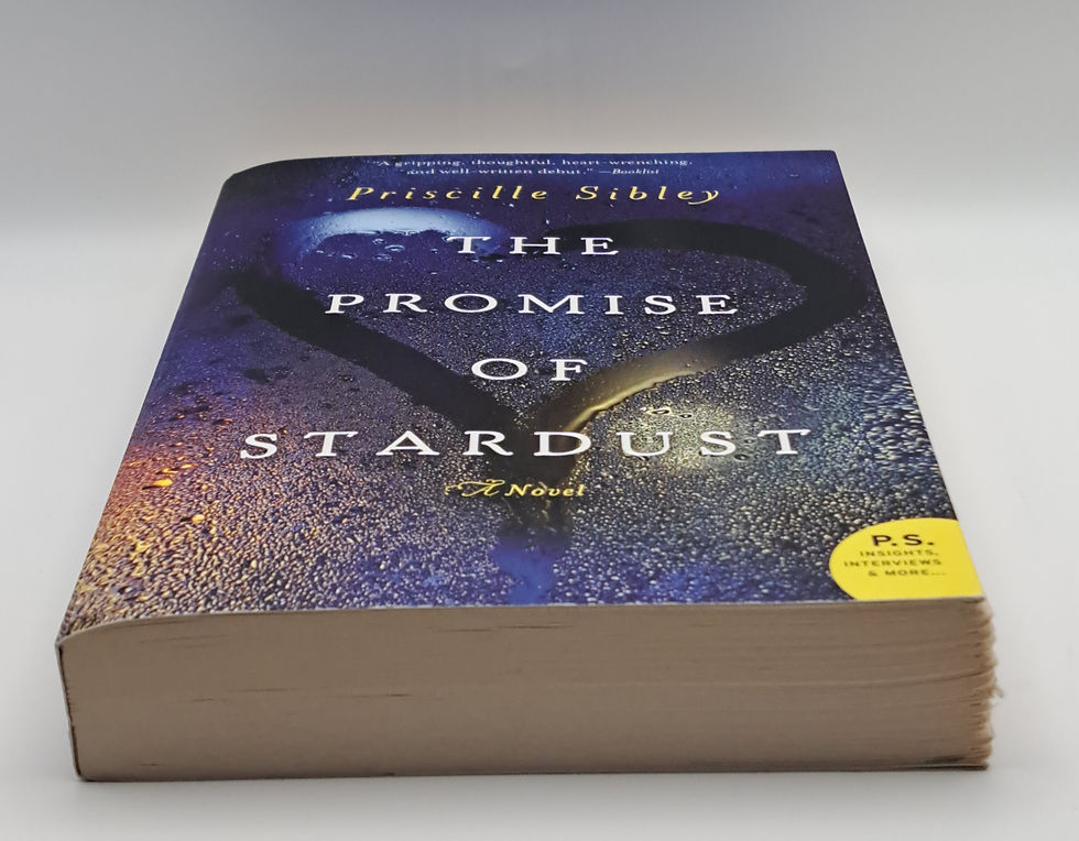 Thumbnail: The Promise of Stardust by Priscille Sibley