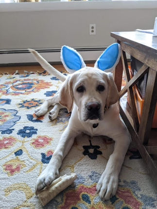 Sully.13.jpg