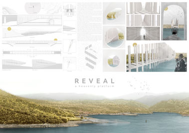 reveal.jpg