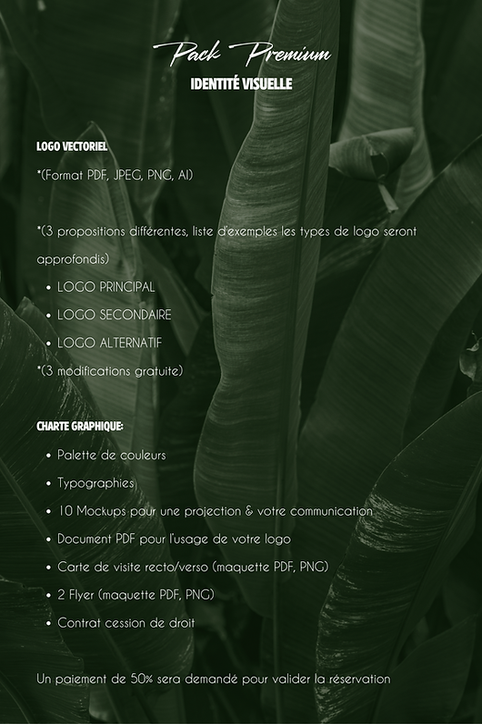 Pack Charte IDENTITÉ VISUELLE LOGO VECTORIEL (Format PDF, JPEG, PNG, AI) (2 propositions d