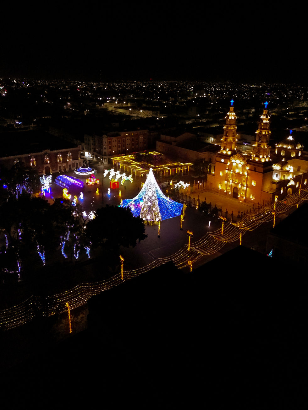dji_fly_20250105_060210_66_1736100476999_photo_optimized.JPEG