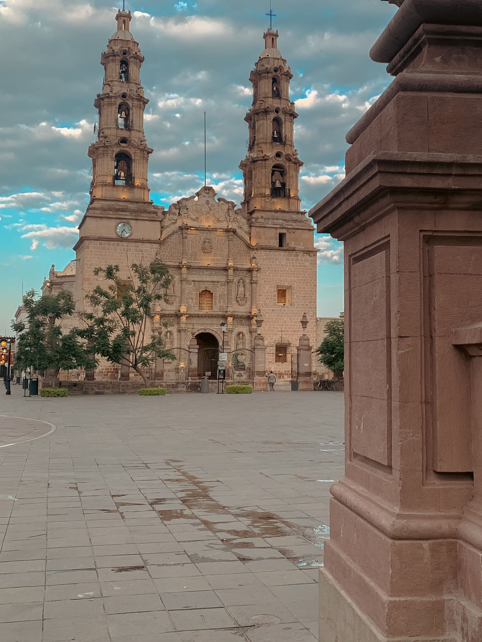 IMG_8763.JPEG
