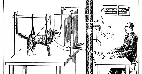 Pavlov_experiments_with_dog_Wellcome_M0014738.jpg