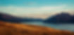 iStock-916287658 - new zeland - menor.jpg