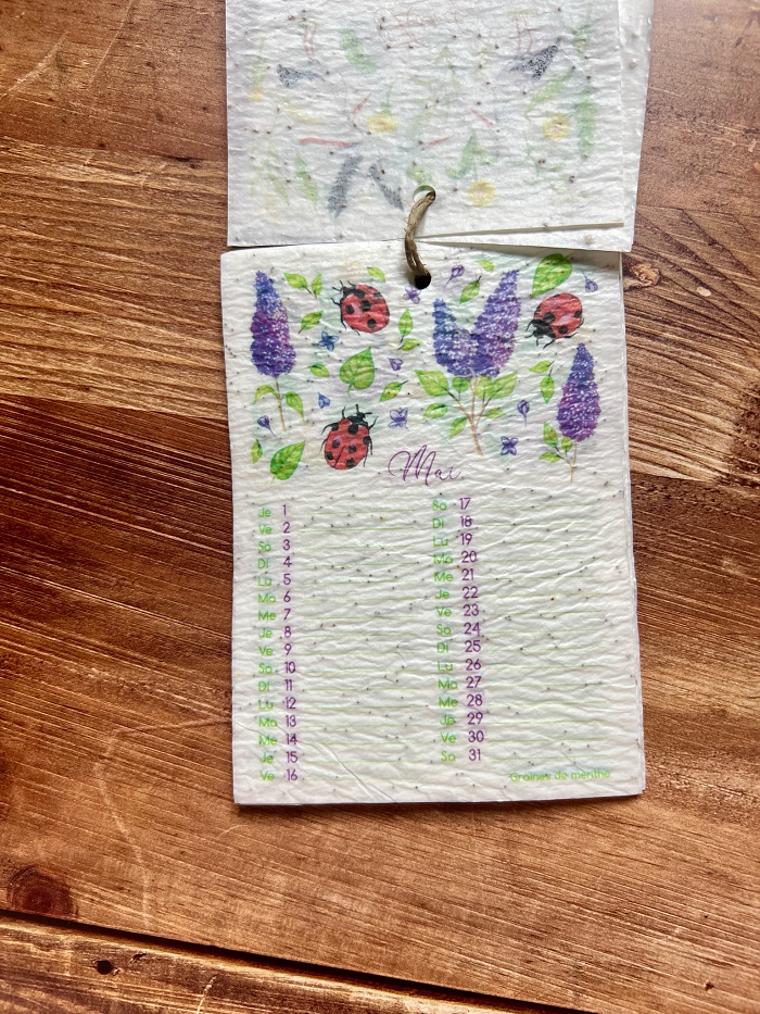 Miniature : Calendrier à planter 2025 A6 georgia zervos Les Cartes de Lulu