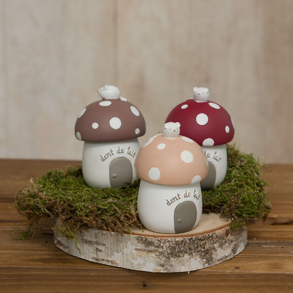 Petite boîte à dent champignon , 3 couleurs enfant cades amadeus