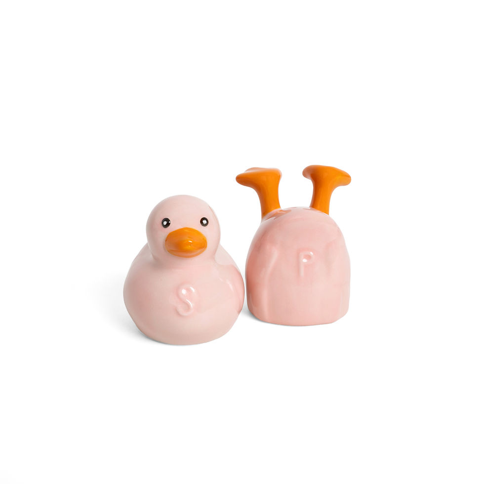 Salière et poivrière originale canard rose helio ferretti