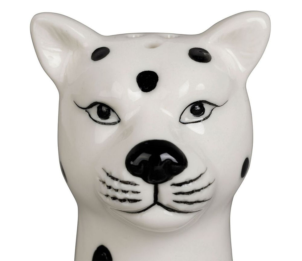Salière et poivrière originale guépard, Sinai sema design