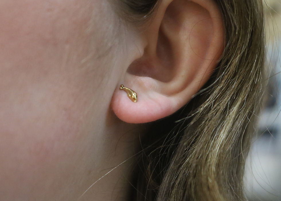 Boucles d'oreilles en acier inoxydable originale fille dorées à puces, dauphin mile mila