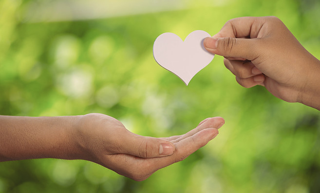 couple-holding-hands-green-meadow copy.jpg