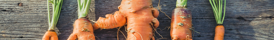 Organic Carrots
