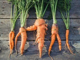 HOLIDAY RECOVERY ZONE: MY WHOLE30 DIET EXPERIENCE