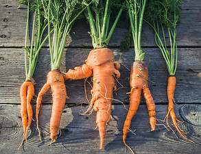 Organic Carrots