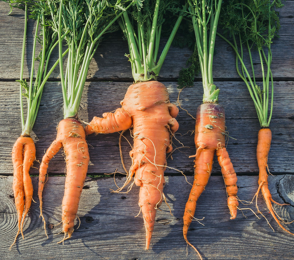 wonky carrots