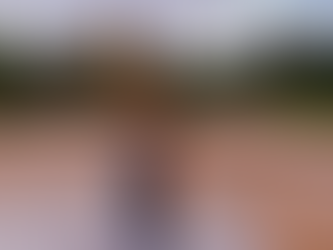 Proud to be an American?