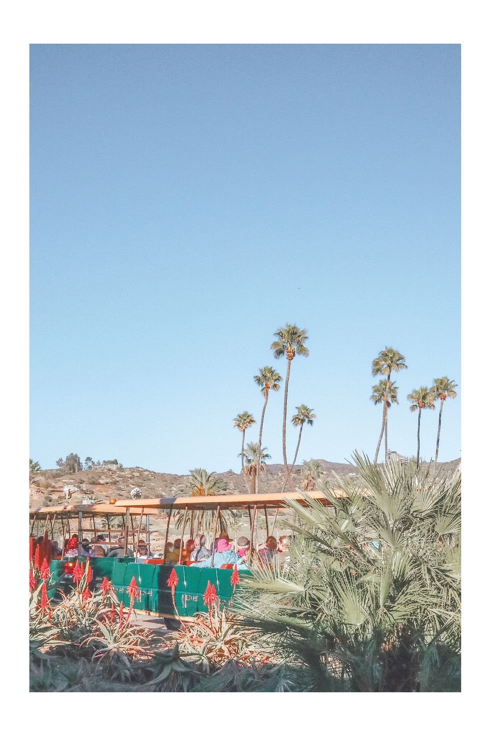 Thumbnail: USA Series - San Diego Safari