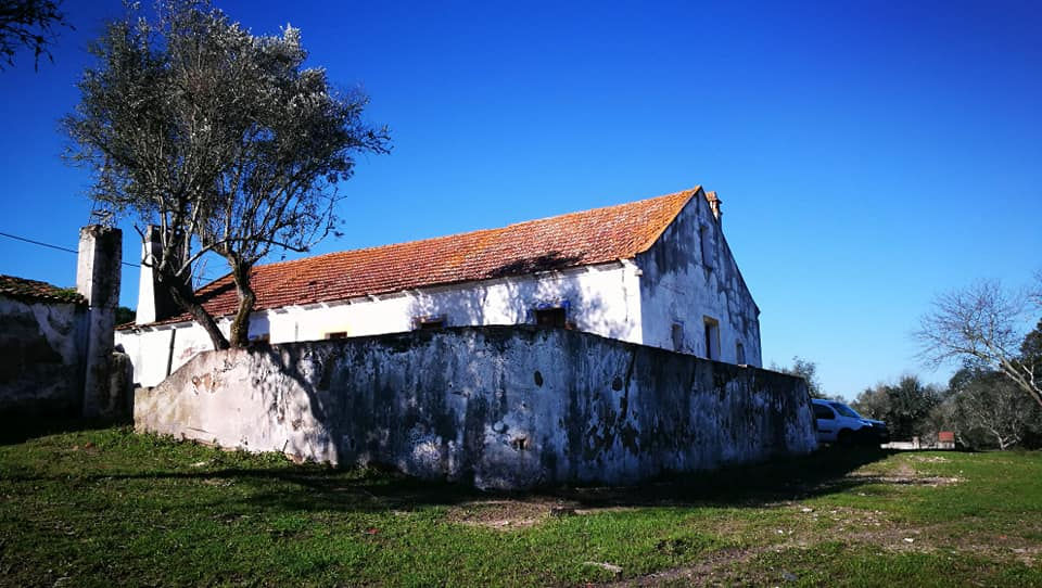 Alcácer do Sal 2