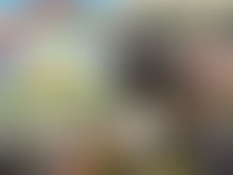 У пошуках скарбів щастя.