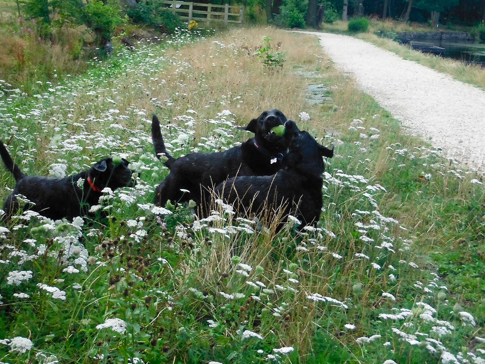 Sharing is caring!