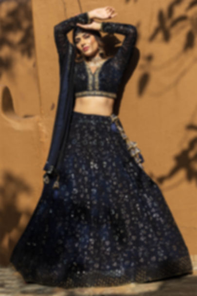 Navy blue lehenga