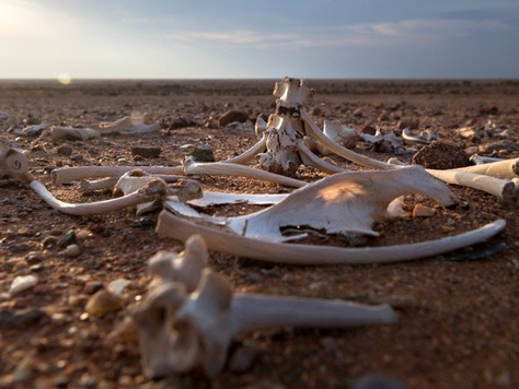 Why is This Passover Different?