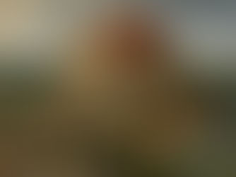 Monday's Messianic Taste of Hidden Manna #53