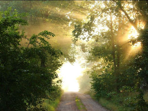 Weekly D'rash and Parsha Ki Tavo