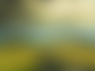 Weekly D'rash Mikets Chanukah